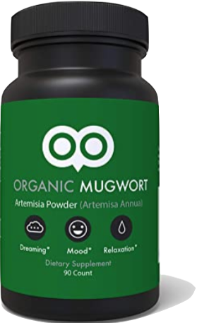 lucid dream pill mugwort